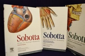 Sobotta-anatomi-atlası-pdf indir