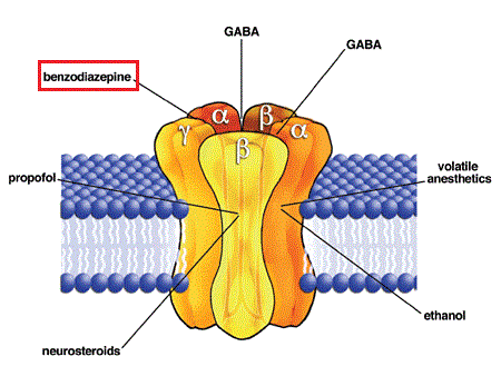 Şekil 5 - Benzodiazepinlerin bağlanma bölgesi vurgulanmış olarak GABA A reseptörü